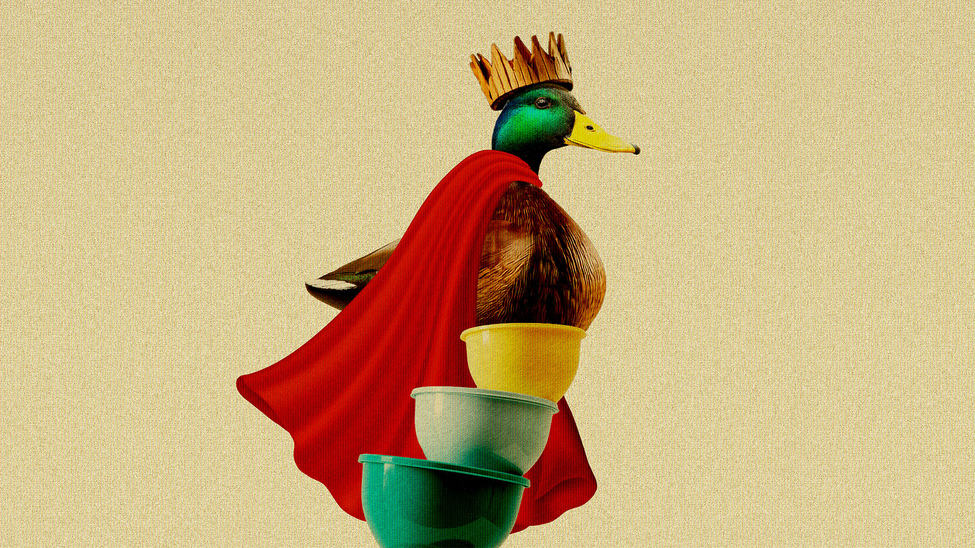 A mallard sits on a bunch of Tupperware while wearing a wooden crown and a cape with a creamy color background.