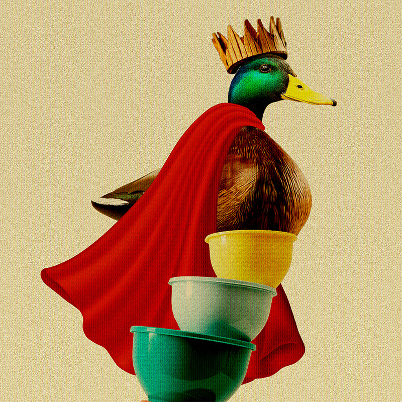 A decoy mallard wearing a wooden crown and a red cape, sitting on top of Tupperware within a beige background